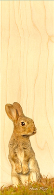 Marque-page lapin de garenne
