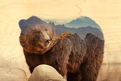 Carte en bois ours montagne ANP09
