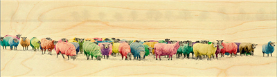 Marque-page mouton colorés