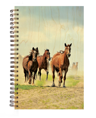 CARN844-carnet-couverture-bois-chevaux-galop