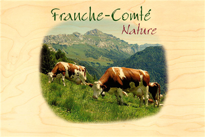 Carte postale franche-comté vache