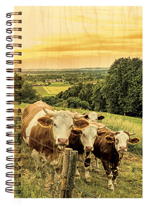 CARN793 carnet couverture bois vache soleil couchant