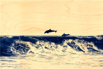 Carte postale dauphin sautant sur une vague