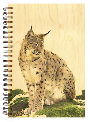 CARN008 carnet couverture bois lynx