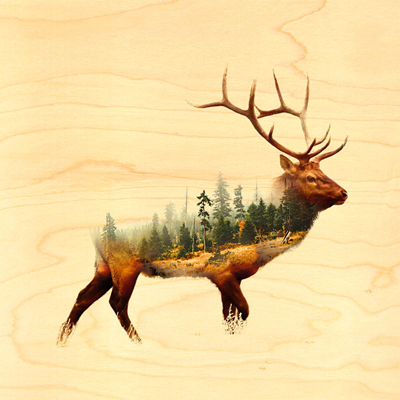 PR812 Poster en bois cerf forêt