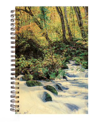 CARN826-carnet-couverture-bois-torrent-foret