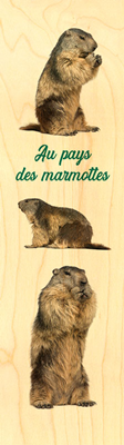 MP684-Marque-page pays des marmottes