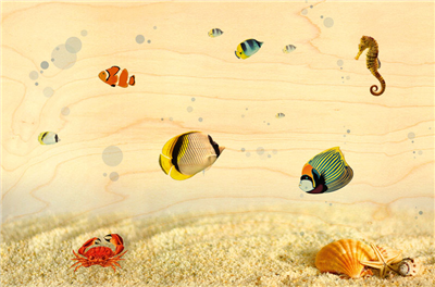 Carte postale poissons fonds marins