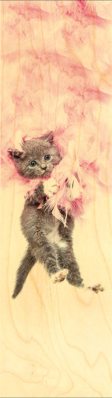 Marque Page En Bois Chaton Plumes Marque Page En Bois Chaton Plumes