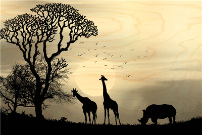 Carte postale girafe et rhinocéros