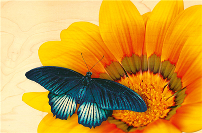 Carte postale papillon bleu sur fleur jaune