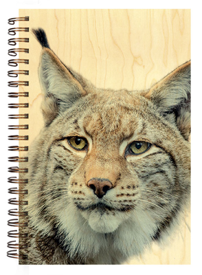 CARN361 carnet couverture bois lynx portrait