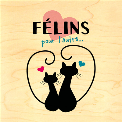 Poster félins pour l'autre