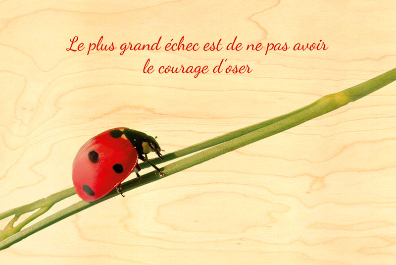 Carte Postale En Bois Courage D Oser