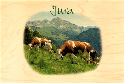 Carte postale jura vache