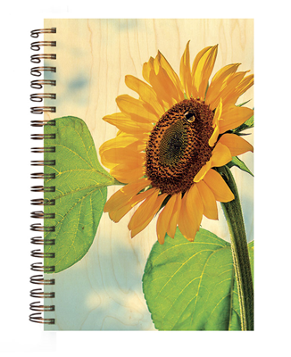 CARN859-carnet-couverture-bois-tournesols