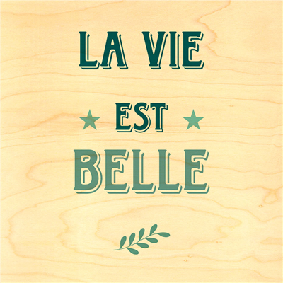 Poster la vie est belle