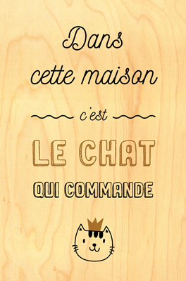 Carte chat roi